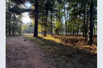 9283 Willow Road, Bitely, MI 49309 - Photo 14