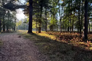 9283 Willow Rd, Bitely, MI 49309 - Photo 14