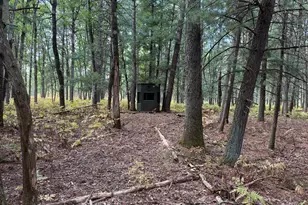 9283 Willow Rd, Bitely, MI 49309 - Photo 12