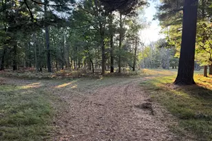 9283 Willow Rd, Bitely, MI 49309 - Photo 36