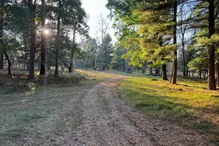 9283 Willow Rd, Bitely, MI 49309 - Photo 56