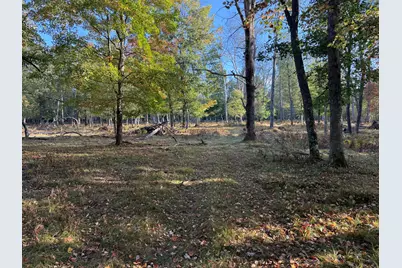 9283 Willow Road, Bitely, MI 49309 - Photo 38