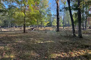 9283 Willow Rd, Bitely, MI 49309 - Photo 38