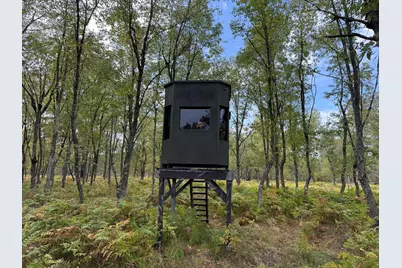 9283 Willow Road, Bitely, MI 49309 - Photo 40