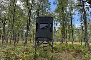 9283 Willow Rd, Bitely, MI 49309 - Photo 40