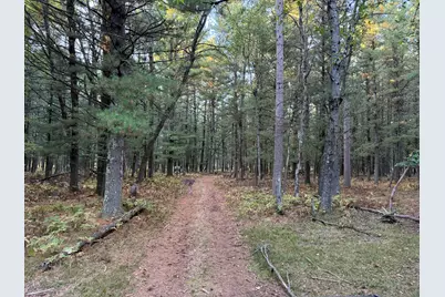 9283 Willow Road, Bitely, MI 49309 - Photo 28