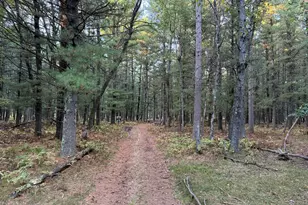 9283 Willow Rd, Bitely, MI 49309 - Photo 28