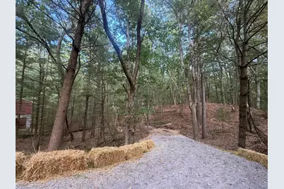 Vl Lenox, Pentwater, MI 49449 - Photo 1