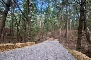 Vl Lenox, Pentwater, MI 49449 - Photo 2