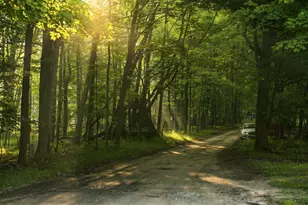 10840 Torchlight Ln, Central Lake, MI 49622 - Photo 52