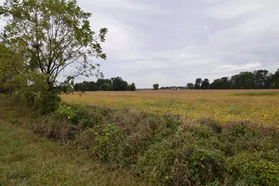 Rierson Road, Bronson, MI 49028 - Photo 4