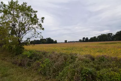 Rierson Road, Bronson, MI 49028 - Photo 2