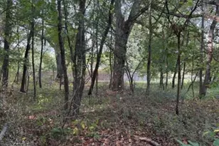 129 Midway St, Belding, MI 48809 - Photo 1