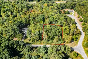 Lot 11 Executive Dr, Big Rapids, MI 49307 - Photo 1