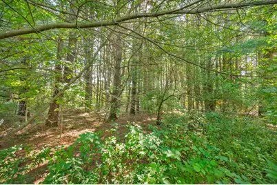 Lot 14 Executive Dr, Big Rapids, MI 49307 - Photo 8