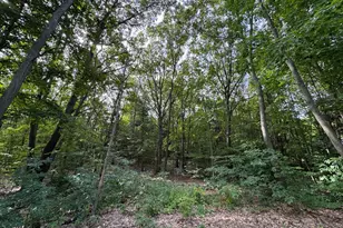 76757 Wood Crst Ct, South Haven, MI 49090 - Photo 2