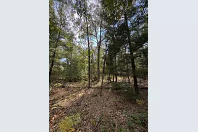 0 S Shady Grove Drive, Baldwin, MI 49304 - Photo 2