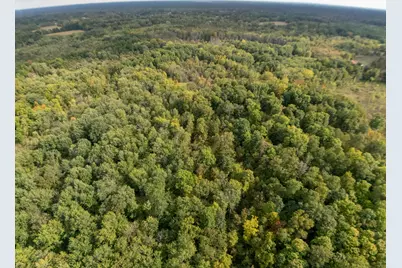 35780 36th Avenue, Paw Paw, MI 49079 - Photo 12