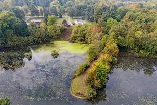 521 Adrian St, Manchester, MI 48158 - Photo 70