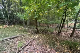 11269 Apache Wells Ct, Canadian Lakes, MI 49346 - Photo 1