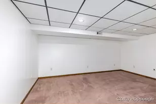 1100 Hayes Rd, Muir, MI 48860 - Photo 24