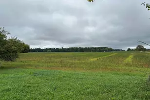 Parcel 5 Woodland Rd, Woodland, MI 48897 - Photo 1