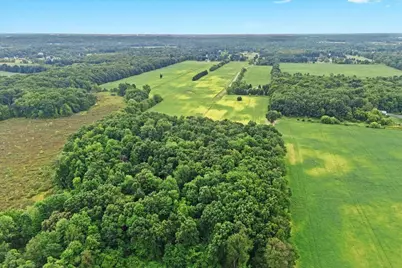 1435 Epley Rd Road, Williamston, MI 48895 - Photo 48