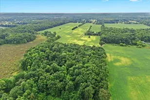 1435 Epley Rd Rd, Williamston, MI 48895 - Photo 48