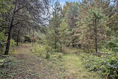 V/L Collier Ave Avenue, Battle Creek, MI 49017 - Photo 2