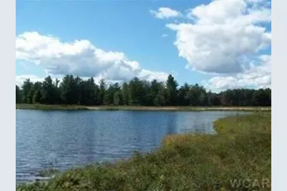 6485 Dunhill Drive, Canadian Lakes, MI 49346 - Photo 1