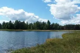 6485 Dunhill Dr, Canadian Lakes, MI 49346 - Photo 1