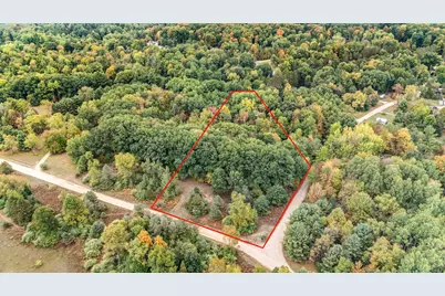 Lot 37 Birch Drive, White Cloud, MI 49349 - Photo 2