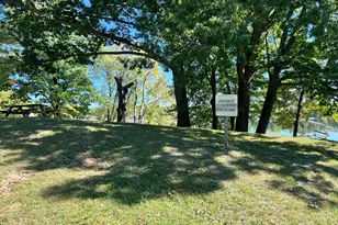 Lot 108 Stella St, Custer, MI 49405 - Photo 10