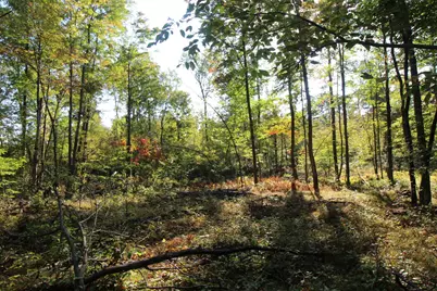 16698 220th Avenue, Big Rapids, MI 49307 - Photo 20