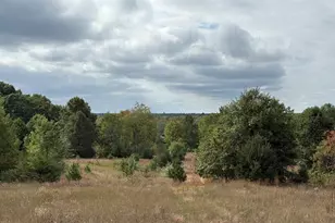 7267 S Snyder Rd SW, Fife Lake, MI 49633 - Photo 1