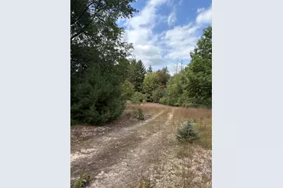 7267 S Snyder Road SW, Fife Lake, MI 49633 - Photo 8