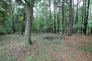 2921 Virginia Ave, Kalamazoo, MI 49004 - Photo 10