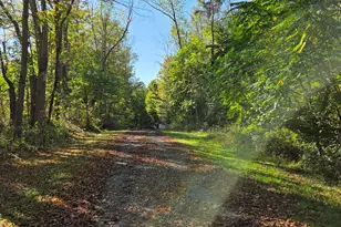 64778 Union Rd, Cassopolis, MI 49031 - Photo 4