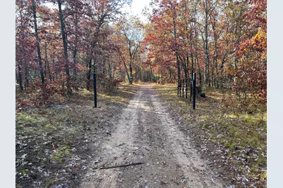 E County Line Road, Free Soil, MI 49411 - Photo 2