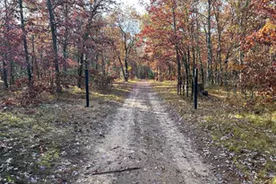 E County Line Rd, Free Soil, MI 49411 - Photo 2