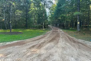 E County Line Rd, Free Soil, MI 49411 - Photo 4