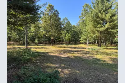 E County Line Road, Free Soil, MI 49411 - Photo 8