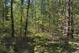 E County Line Rd, Free Soil, MI 49411 - Photo 16