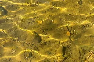 4435 Indian Isle, Battle Creek, MI 49017 - Photo 24