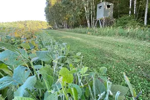 5435 Edwards Rd, Harbor Beach, MI 48441 - Photo 44