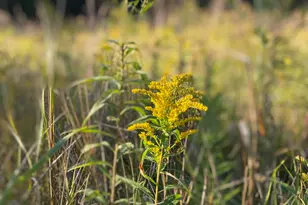 5435 Edwards Rd, Harbor Beach, MI 48441 - Photo 40