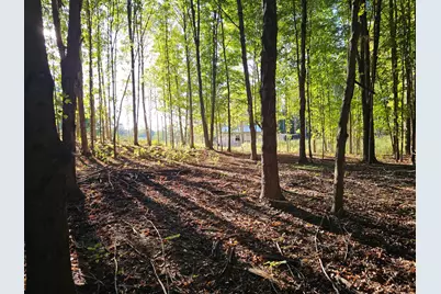 00369 County Road 665, Bloomingdale, MI 49026 - Photo 6