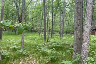 12060 Chinook Dr, Stanwood, MI 49346 - Photo 1