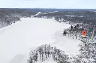 6048 Stewart Woods Dr, Delton, MI 49046 - Photo 2