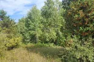 7385 S 88th Ave, Rothbury, MI 49452 - Photo 36